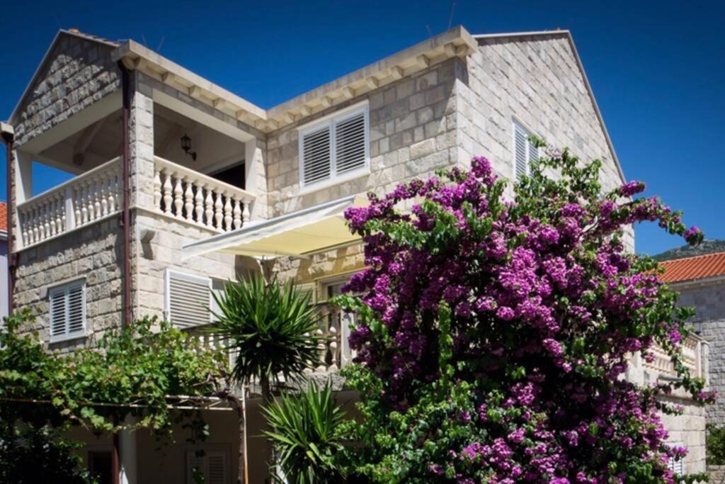 Relax Comfy Cozy Apartment Cavtat Exterior photo